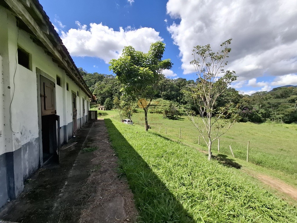 Fazenda, 40 hectares - Foto 44