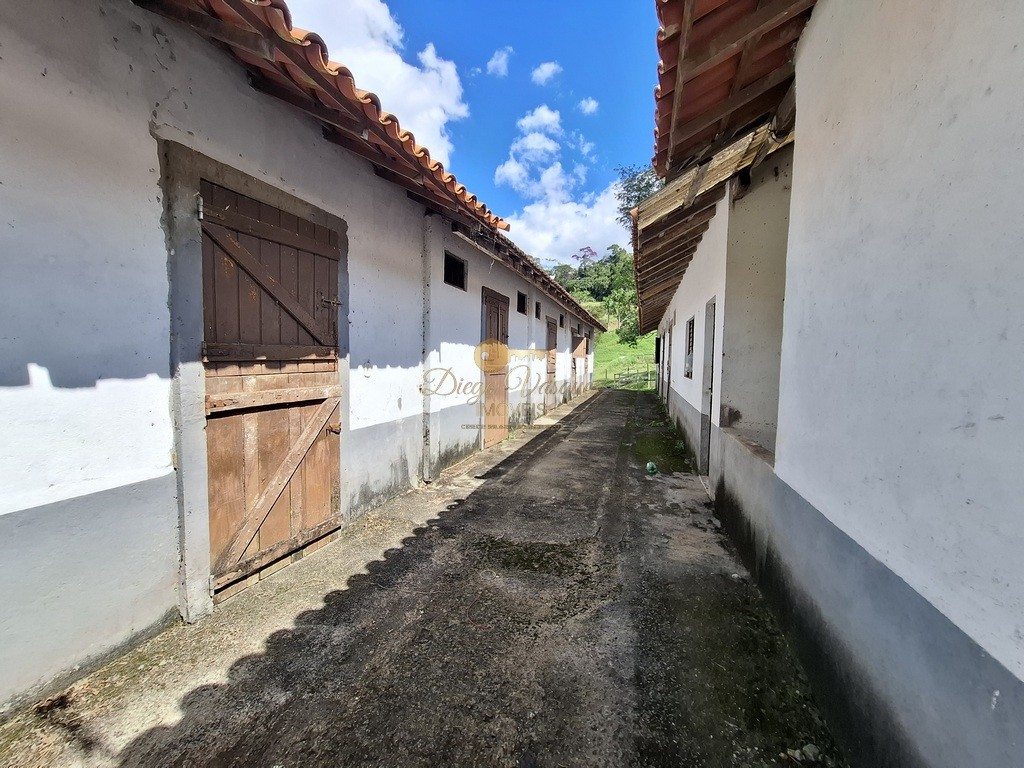 Fazenda, 40 hectares - Foto 43