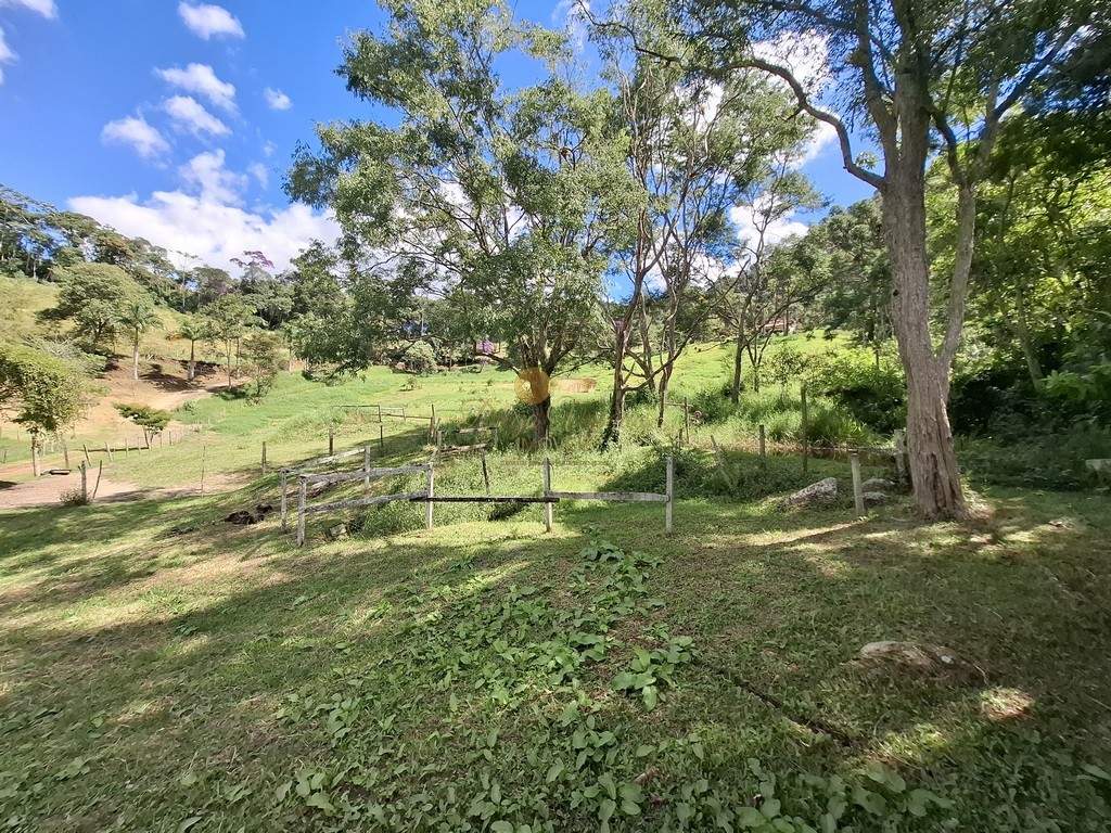 Fazenda, 40 hectares - Foto 45
