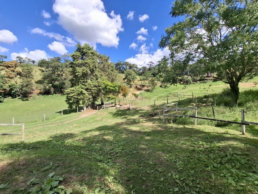 Fazenda, 40 hectares - Foto 46