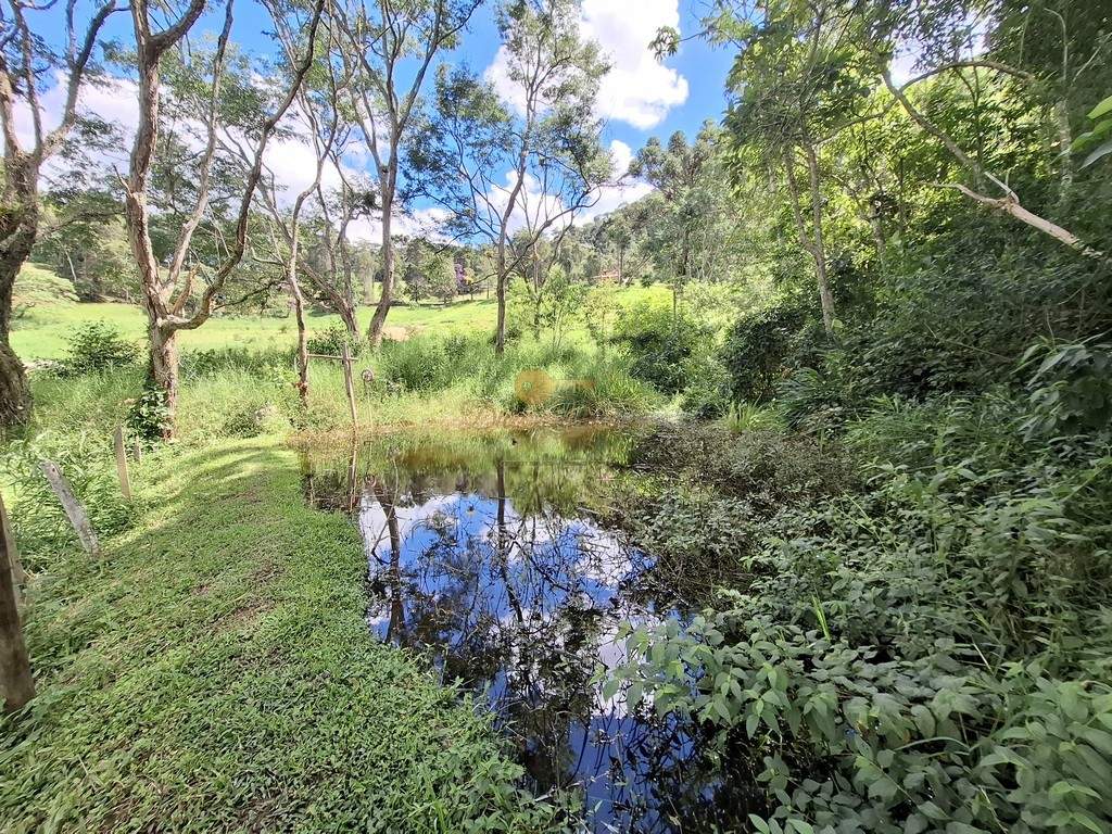 Fazenda, 40 hectares - Foto 47