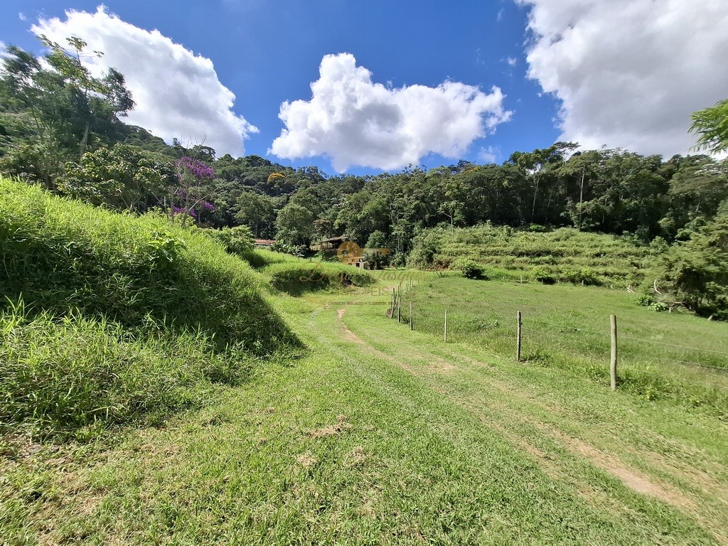 Fazenda, 40 hectares - Foto 49