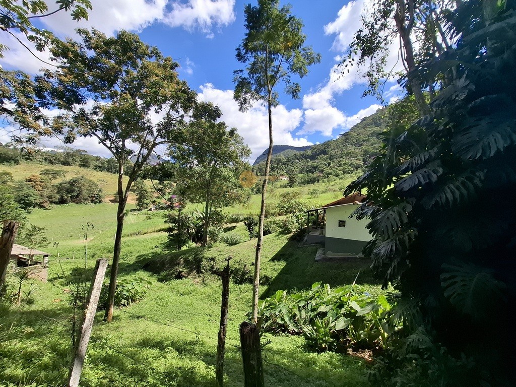 Fazenda, 40 hectares - Foto 54
