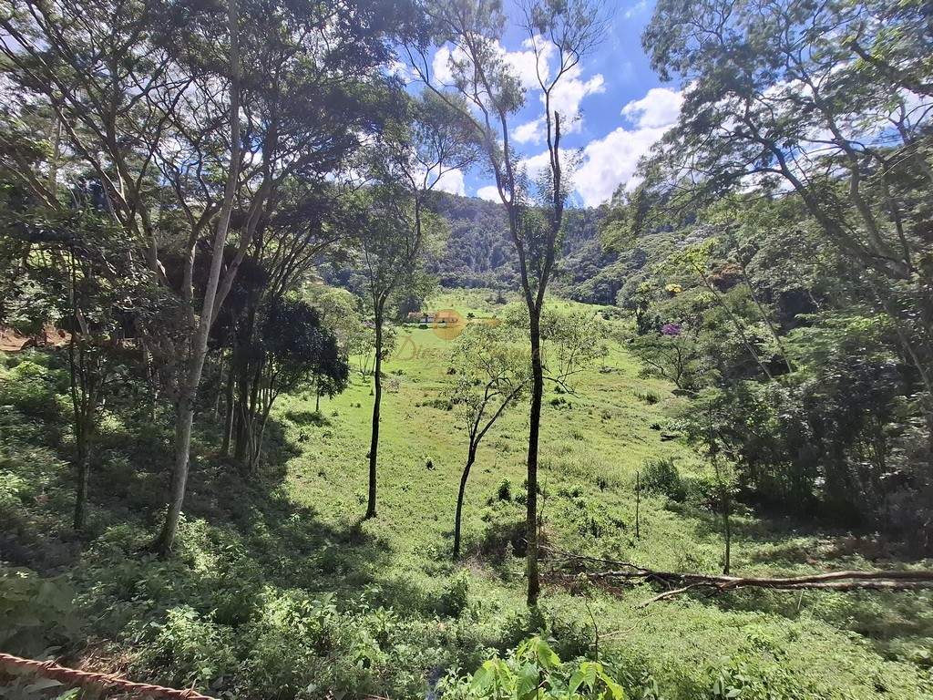 Fazenda, 40 hectares - Foto 55