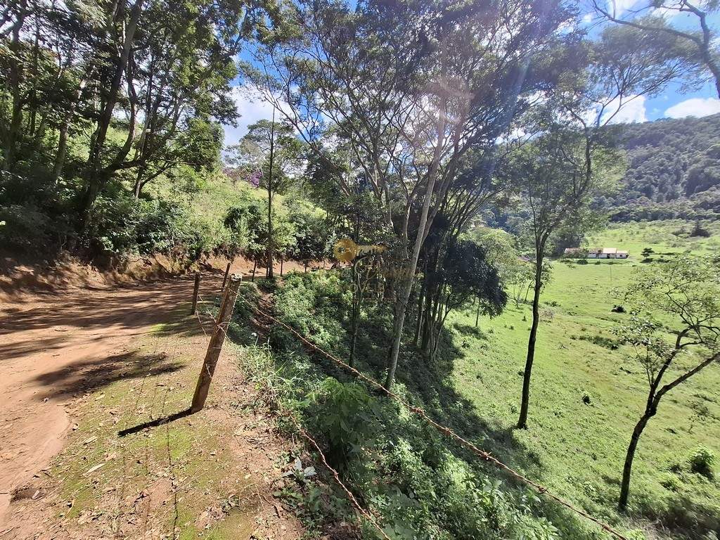 Fazenda, 40 hectares - Foto 56