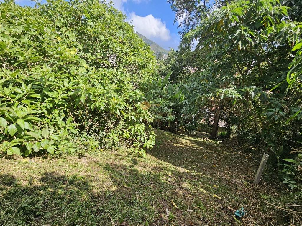 Terreno, 360 m² - Foto 2