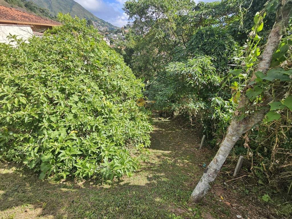 Terreno, 360 m² - Foto 3
