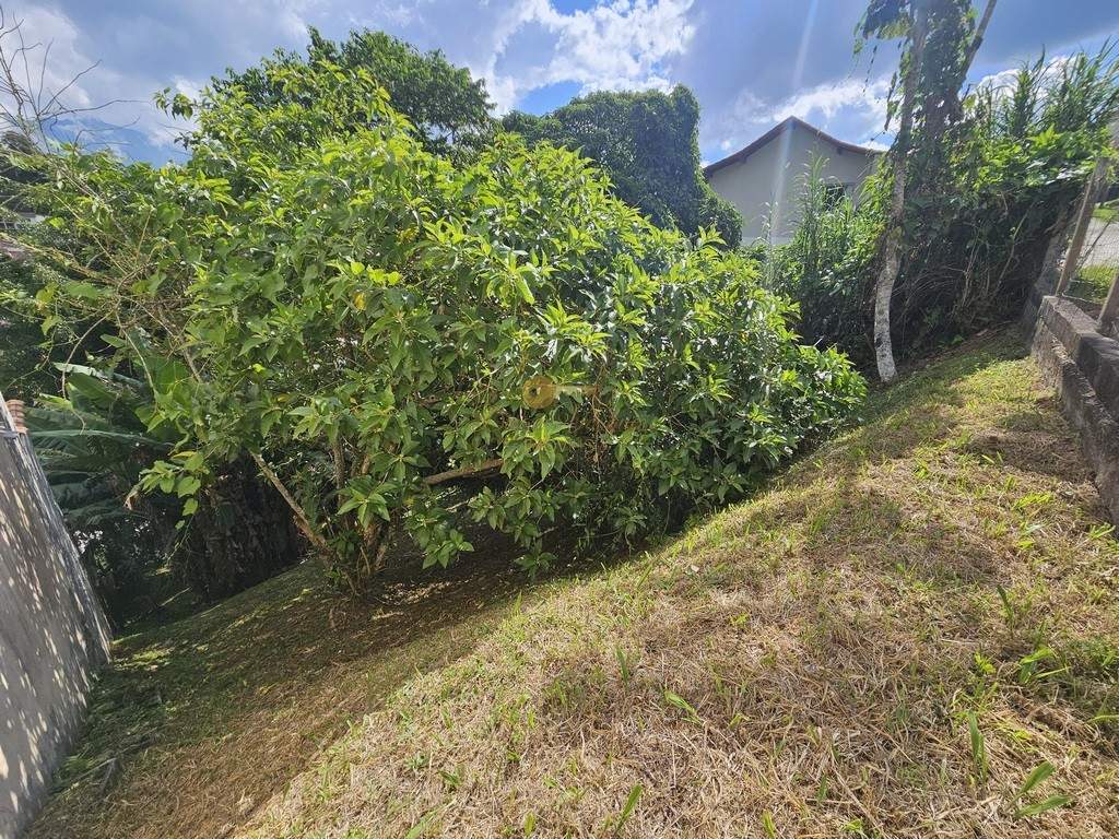 Terreno, 360 m² - Foto 10