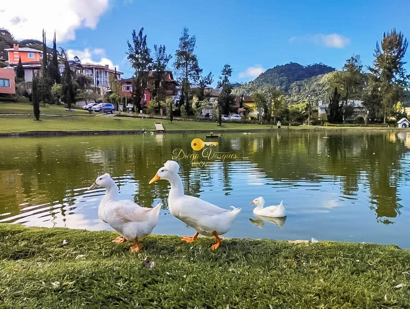 Terreno Residencial à venda em Vargem Grande, Teresópolis - RJ - Foto 22