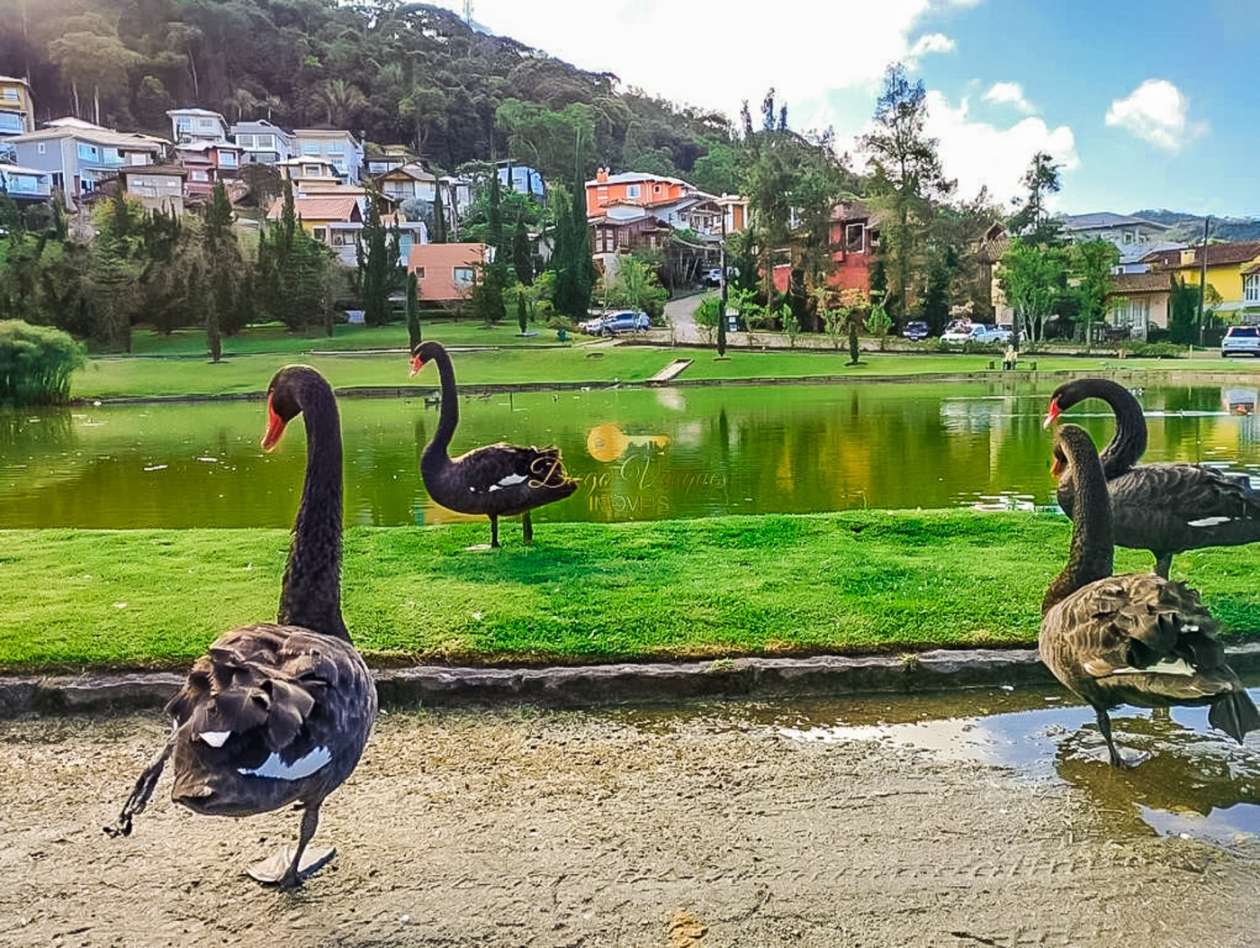 Terreno Residencial à venda em Vargem Grande, Teresópolis - RJ - Foto 26