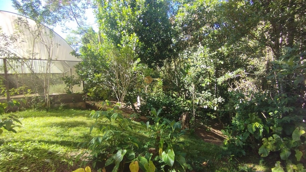 Terreno, 525 m² - Foto 4