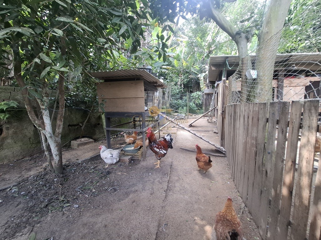 Casa, 3 quartos, 3840 m² - Foto 30