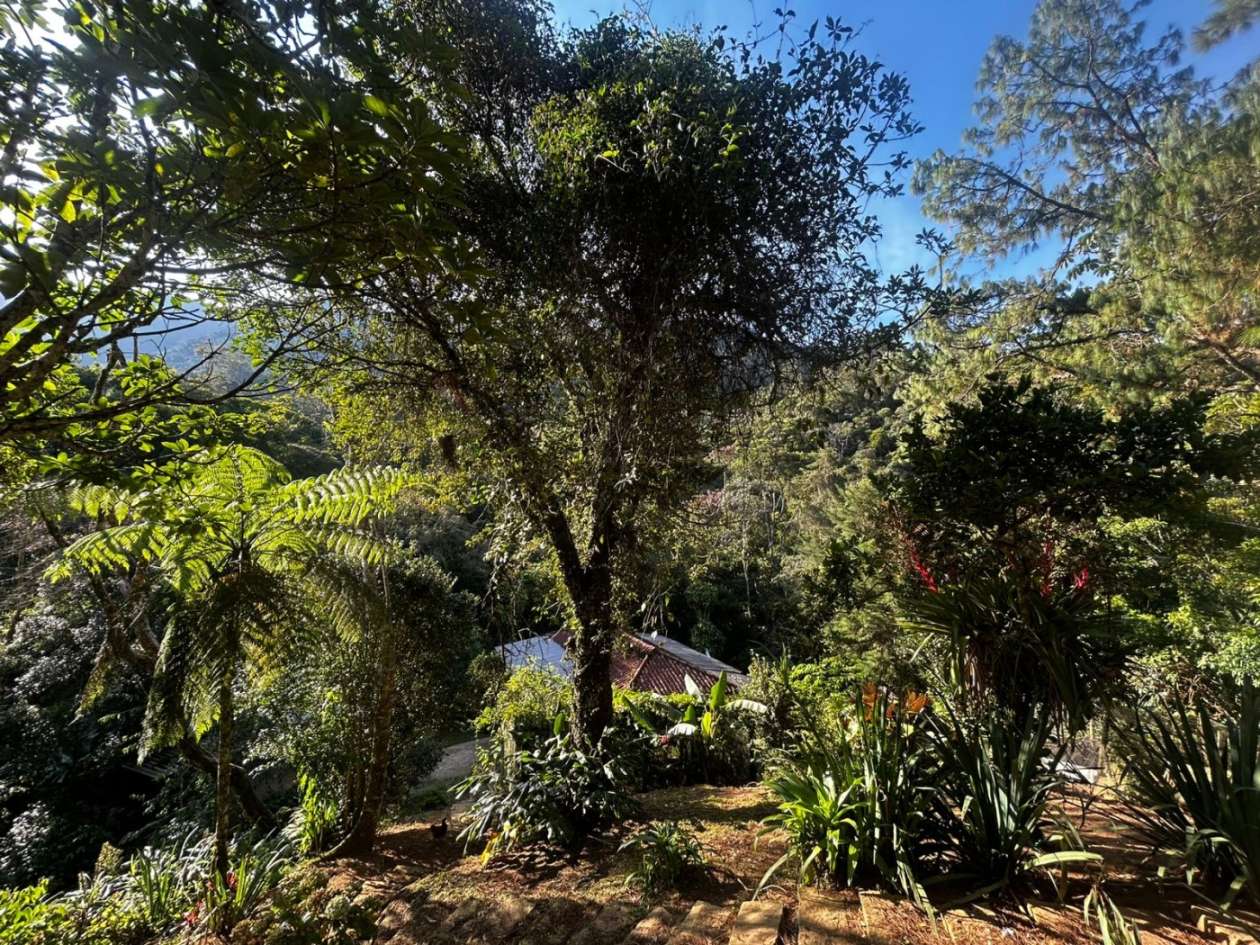 Casa, 3 quartos, 200 m² - Foto 6