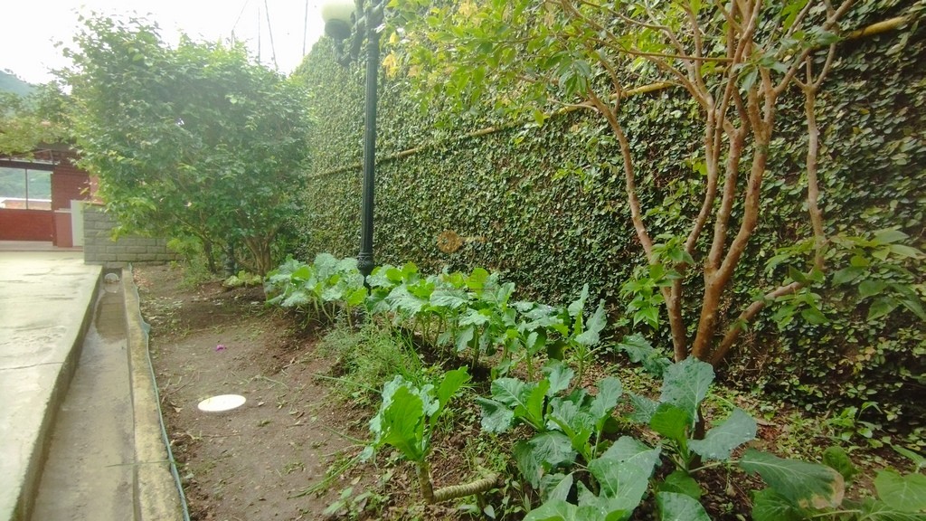 Apartamento, 3 quartos, 79 m² - Foto 24