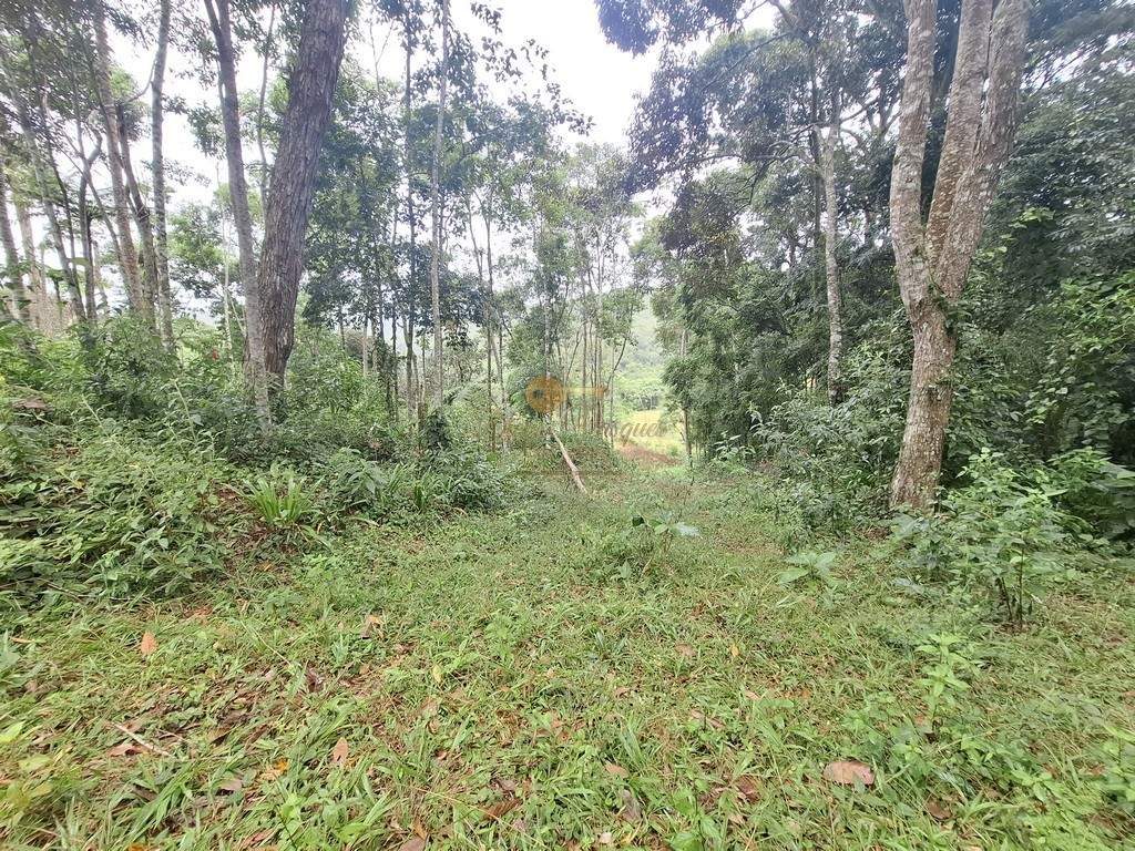 Sítio, 7 quartos, 22 hectares - Foto 10
