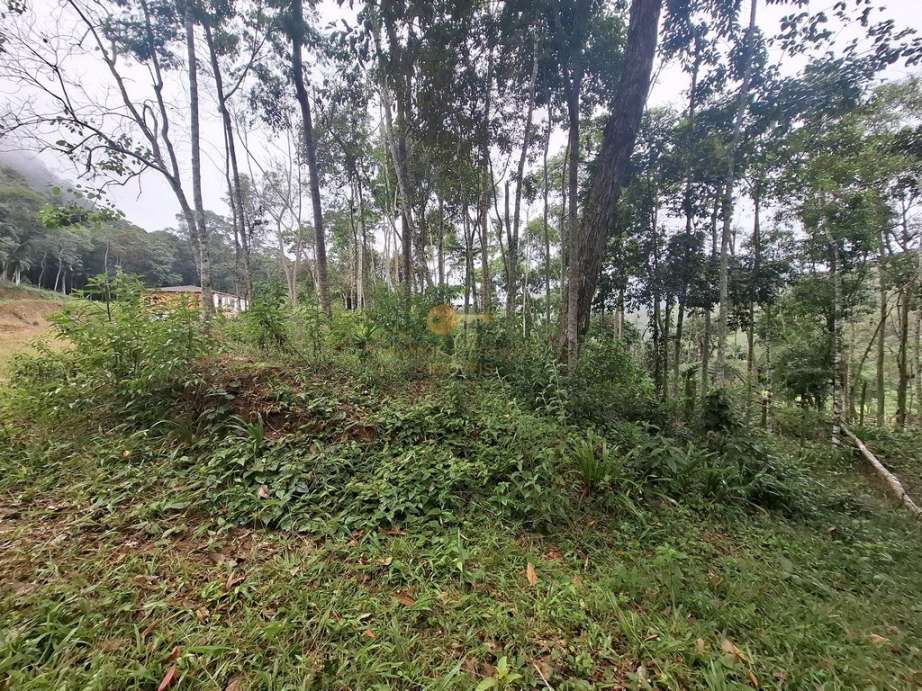 Sítio, 7 quartos, 22 hectares - Foto 11