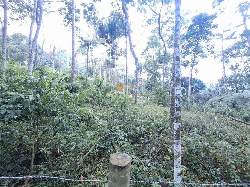 Sítio, 7 quartos, 22 hectares - Foto 14