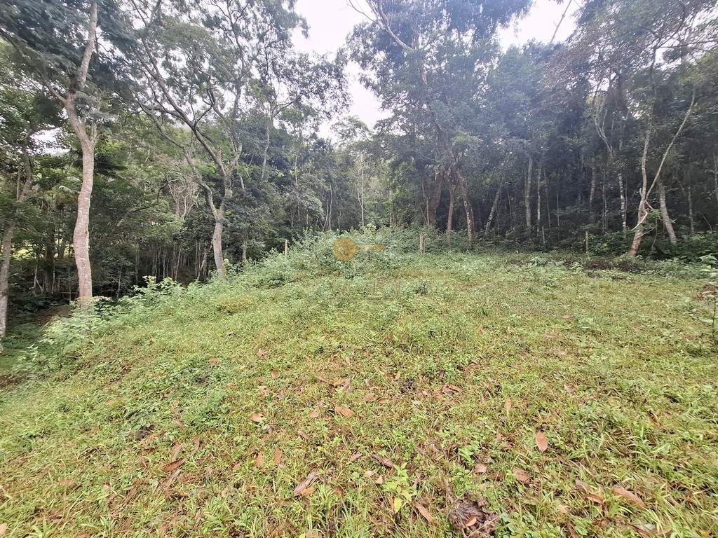 Sítio, 7 quartos, 22 hectares - Foto 19