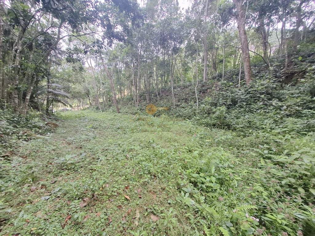 Sítio, 7 quartos, 22 hectares - Foto 23