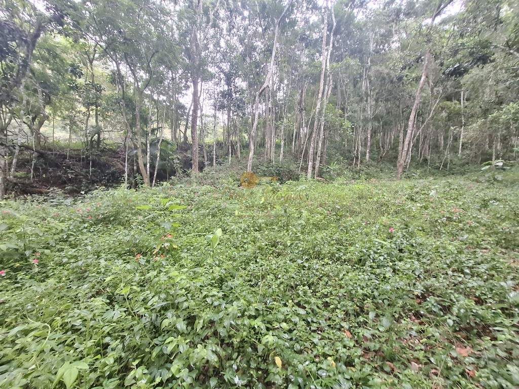 Sítio, 7 quartos, 22 hectares - Foto 25