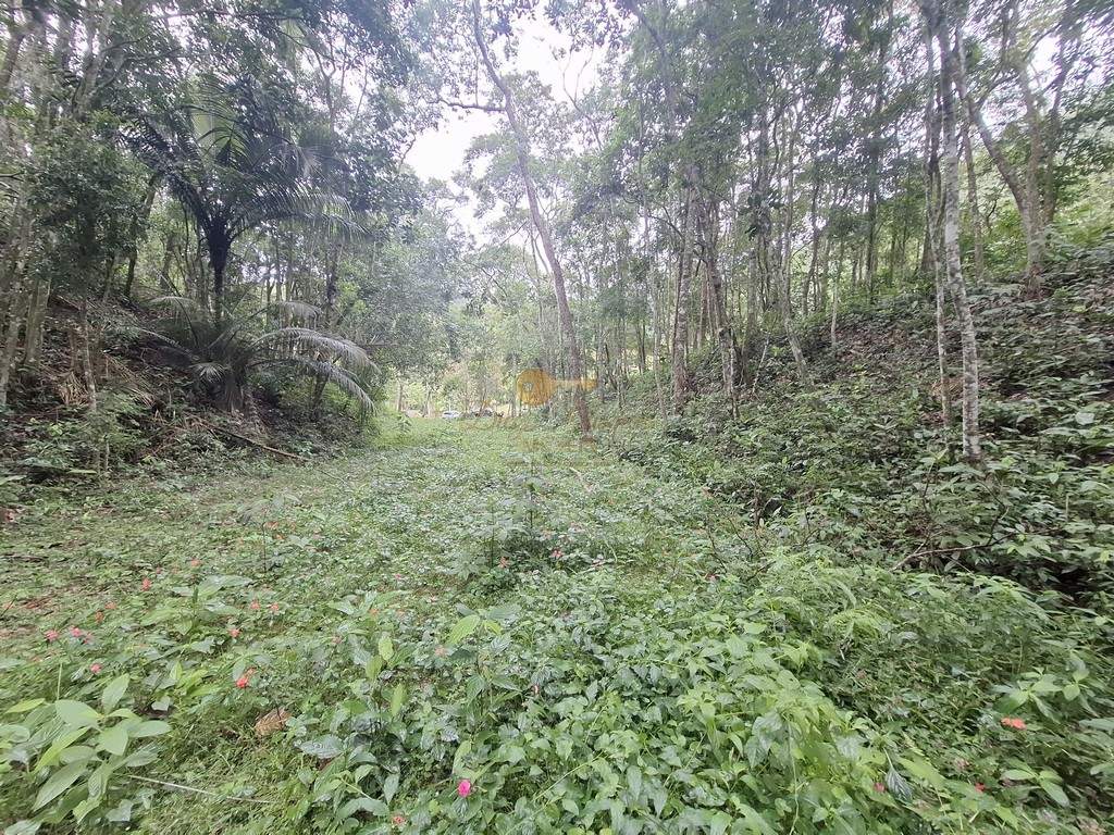Sítio, 7 quartos, 22 hectares - Foto 24