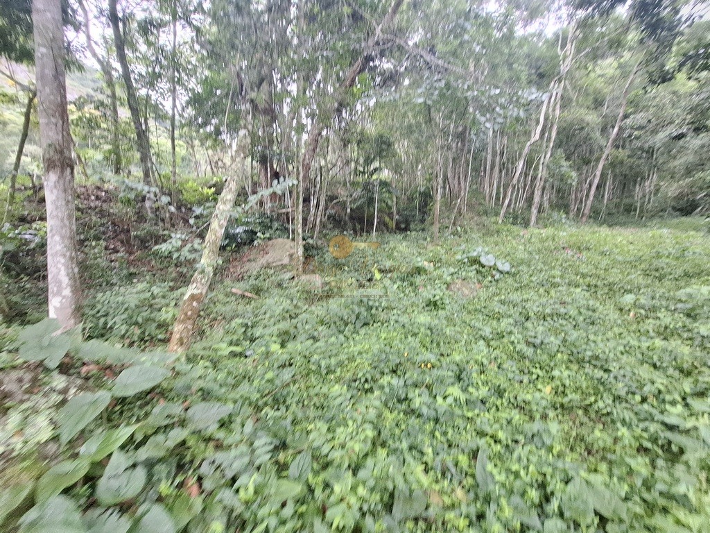 Sítio, 7 quartos, 22 hectares - Foto 26