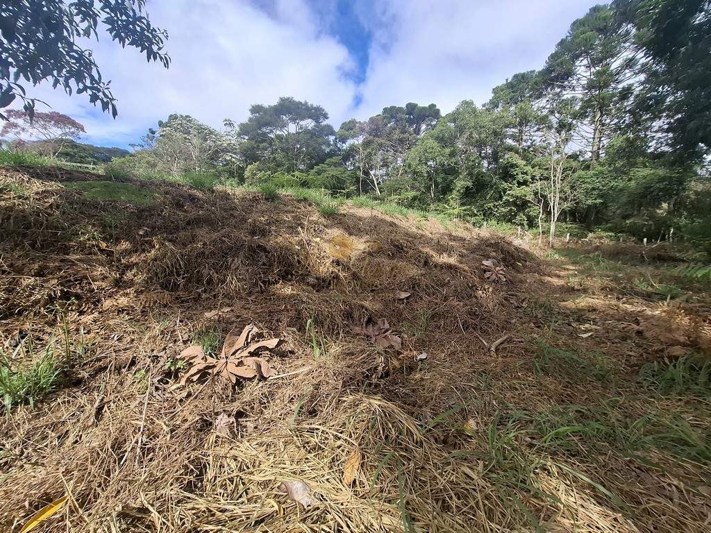 Terreno, 1617 m² - Foto 4