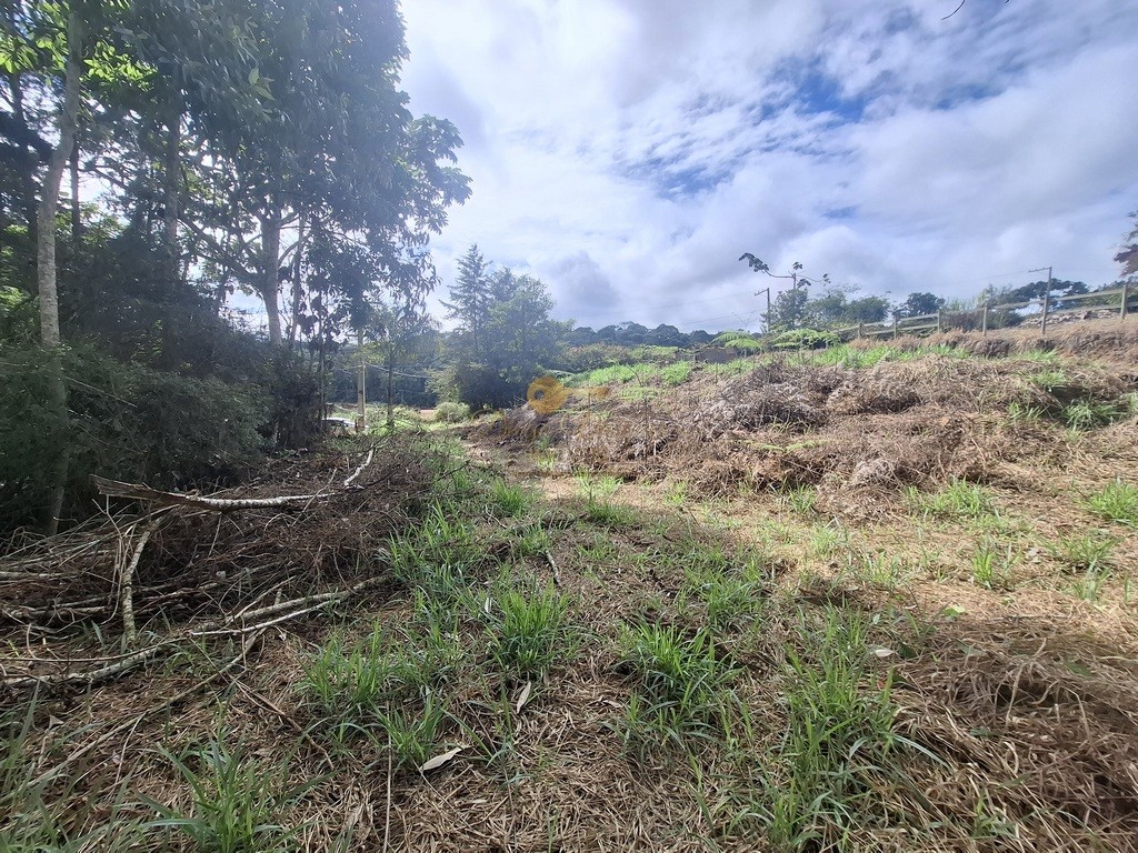 Terreno, 1617 m² - Foto 5