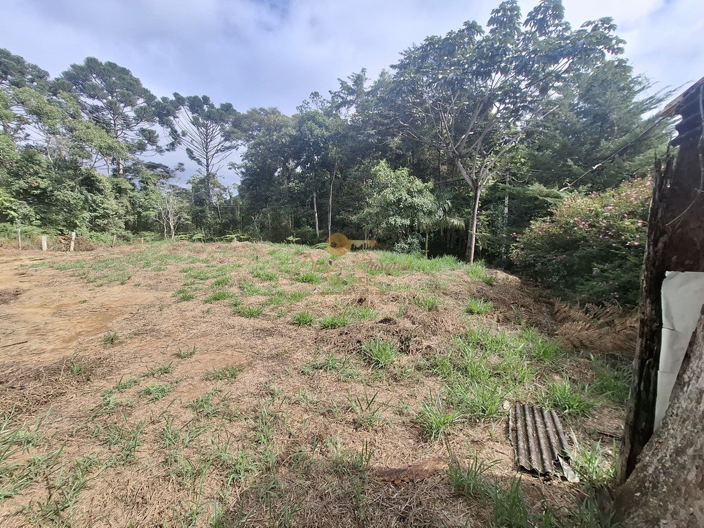 Terreno, 1617 m² - Foto 7