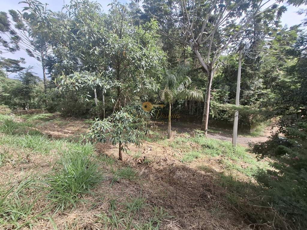 Terreno, 1617 m² - Foto 9
