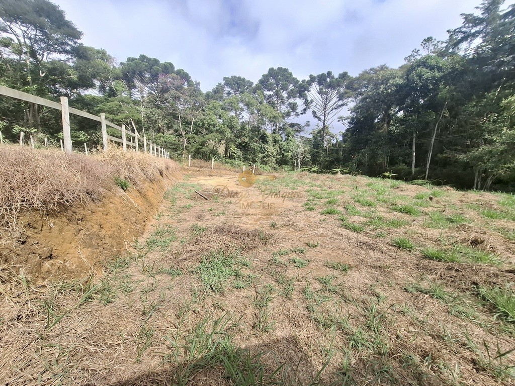 Terreno, 1617 m² - Foto 6