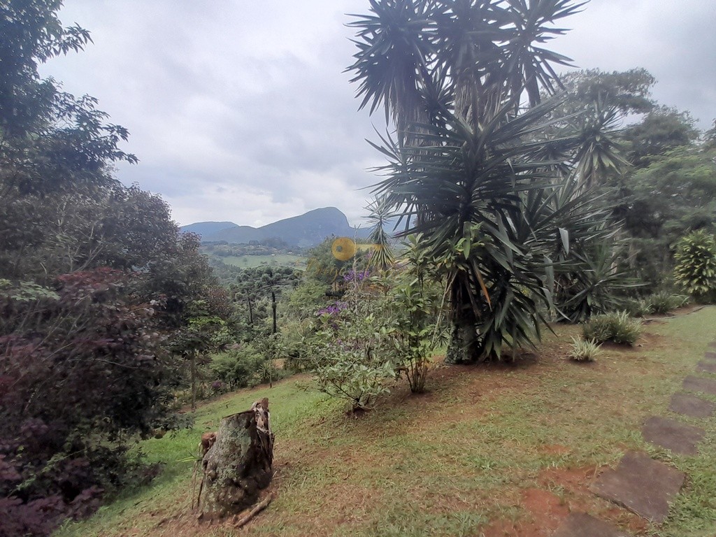 Fazenda, 2 hectares - Foto 8