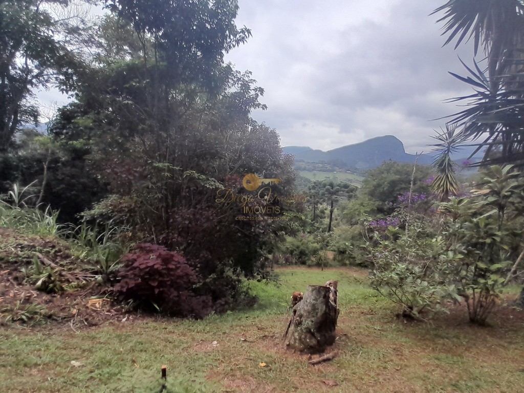 Fazenda, 2 hectares - Foto 9