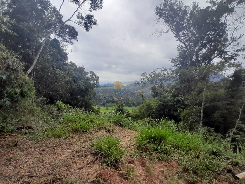 Fazenda, 2 hectares - Foto 10