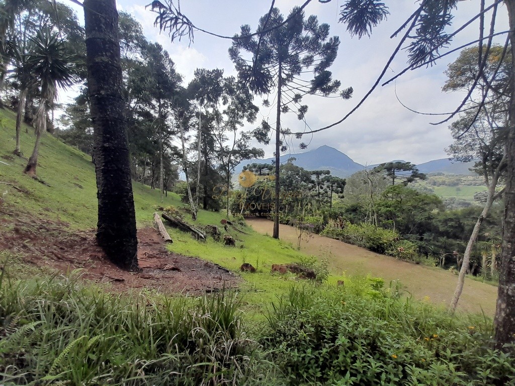 Fazenda, 2 hectares - Foto 17