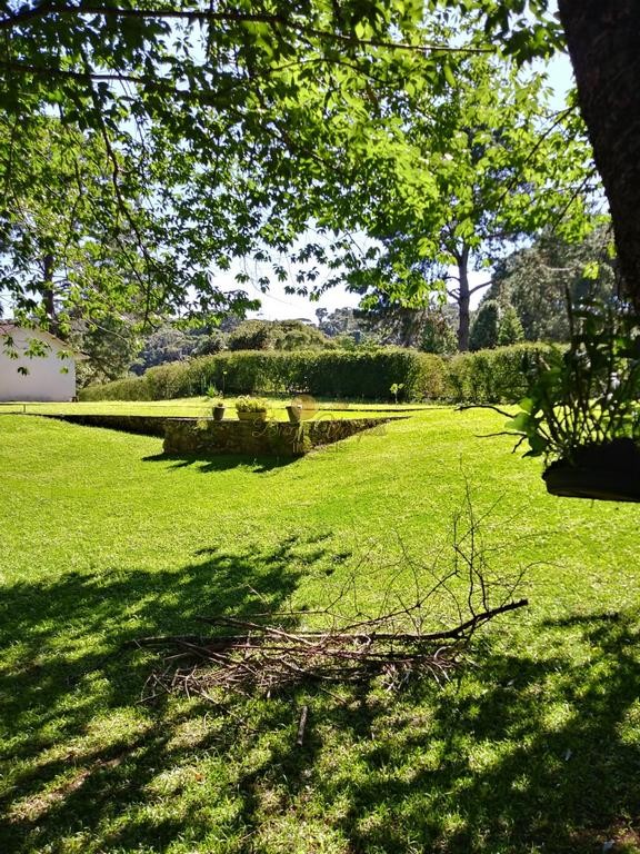 Fazenda, 10000 m² - Foto 6