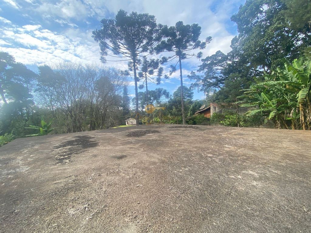 Fazenda, 10000 m² - Foto 13