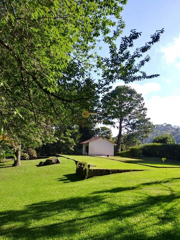 Fazenda, 10000 m² - Foto 11