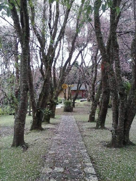 Fazenda, 10000 m² - Foto 21