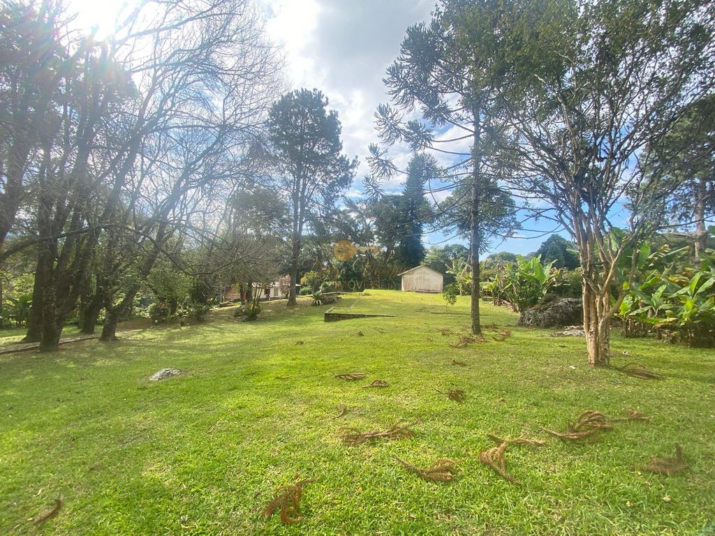 Fazenda, 10000 m² - Foto 22