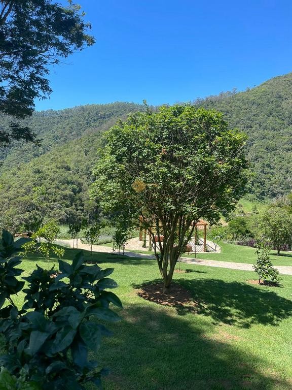 Terreno Residencial à venda em Vale Alpino, Teresópolis - RJ - Foto 23