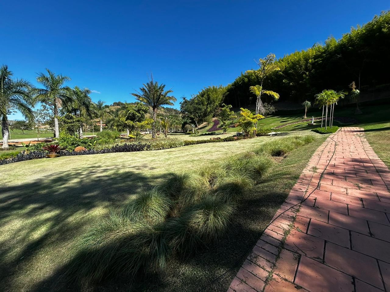 Terreno Residencial à venda em Nova Niterói, Três Rios - RJ - Foto 7