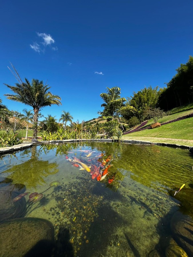Terreno Residencial à venda em Nova Niterói, Três Rios - RJ - Foto 10