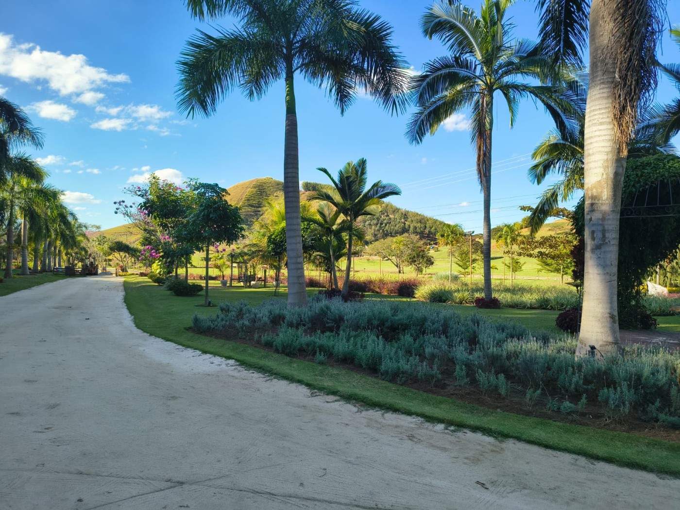 Terreno Residencial à venda em Nova Niterói, Três Rios - RJ - Foto 16