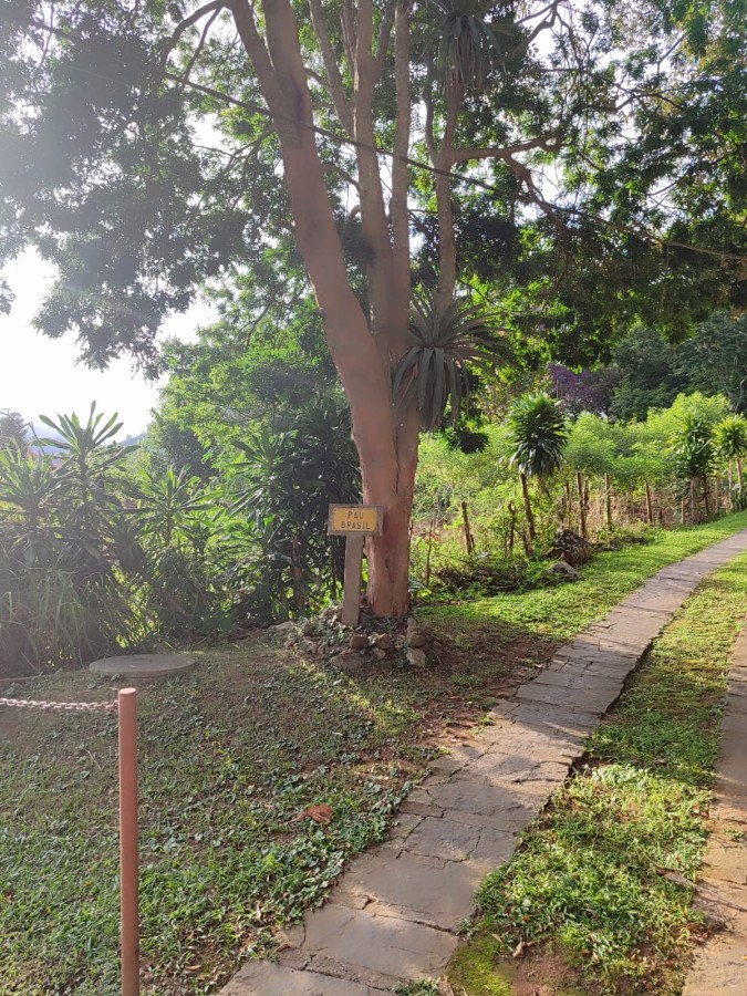 Casa à venda em Samambaia, Petrópolis - RJ - Foto 20