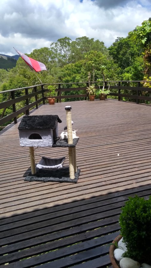 Casa à venda em Samambaia, Petrópolis - RJ - Foto 22