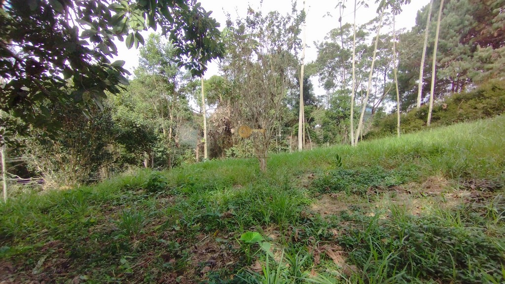 Terreno Residencial à venda em Green Valley, Teresópolis - RJ - Foto 11