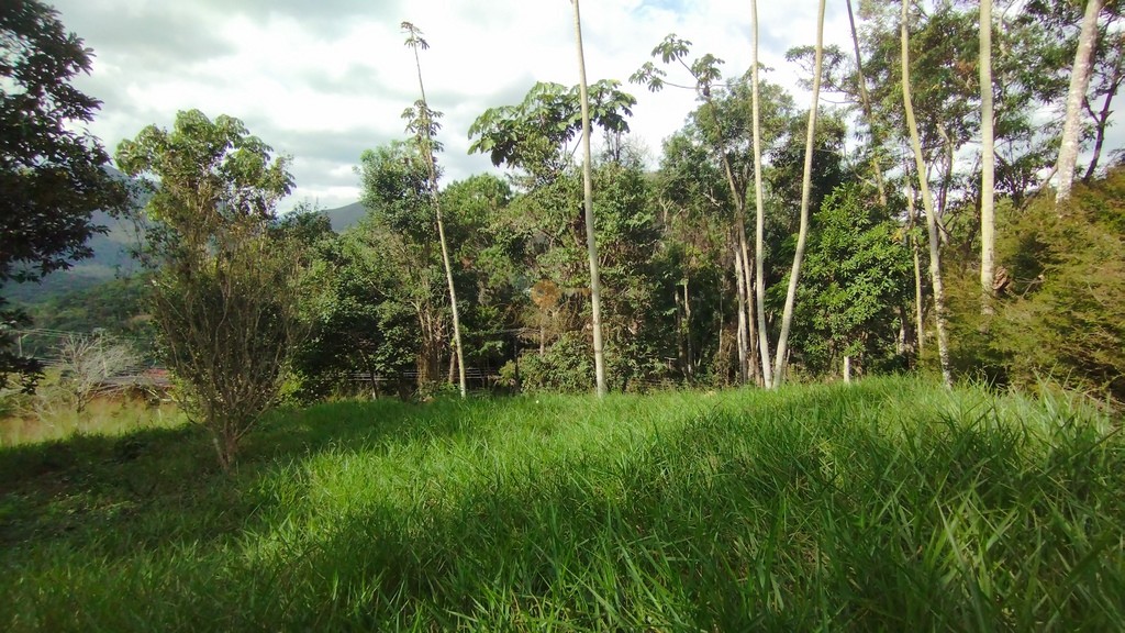 Terreno Residencial à venda em Green Valley, Teresópolis - RJ - Foto 13