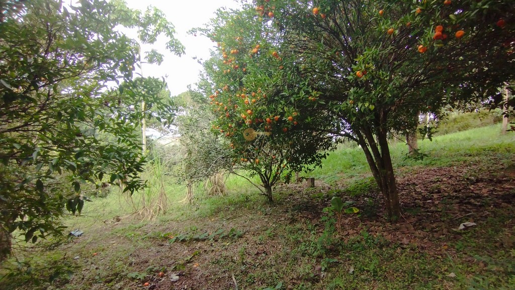 Terreno Residencial à venda em Green Valley, Teresópolis - RJ - Foto 9