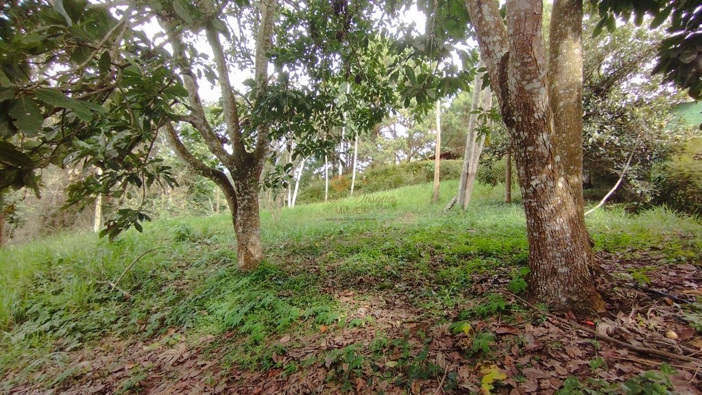 Terreno Residencial à venda em Green Valley, Teresópolis - RJ - Foto 10